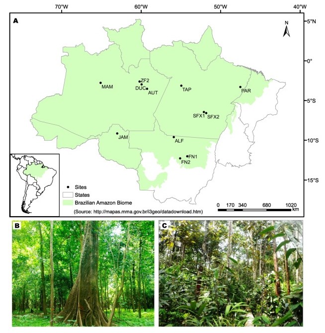 Distribuição dos locais estudados na Floresta Amazônica brasileira