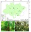 Distribuição dos locais estudados na Floresta Amazônica brasileira